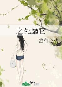 ֮������