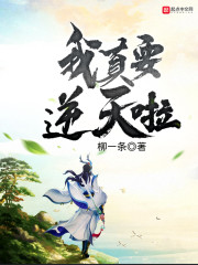 ����Ҫ������